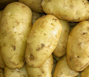 18 ពាន់ 10 គីឡូក្រាម