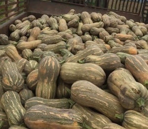 8 ពាន់ 10 គីឡូក្រាម